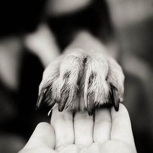 Meet your Posher, Jan